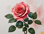 2025年7只玫瑰花的花语