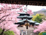 清水寺樱花铃铛多少钱