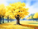 银杏树20公分的什么价
