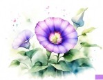 喇叭花作文300