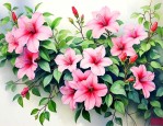 适合爬墙的花卉有哪些