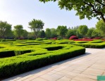 2025年安阳园林绿植公司