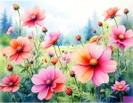 六月是开什么花的季节