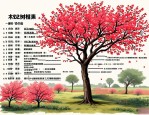 2025年海棠树价格一览表