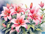 2025年百合花开放的季节
