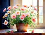 满天星花能在室内养吗