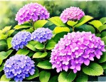 2025年和绣球花很像的花