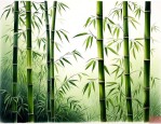 竹子为什么是草本植物