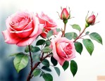 月季花怎么插枝才能活
