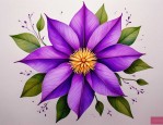 2025年紫色曼陀罗花花语