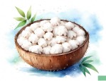 满天星 椰子