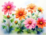 9月份有哪些花会开放