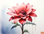 代表孤独渴望被爱的花