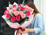向女朋友道歉买什么花