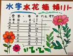 2025年花的拼音笔顺组词