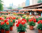 哈尔滨有哪些花卉市场
