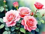 什么季节适合插月季花