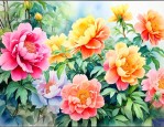 金玉满堂花能晒太阳吗