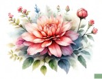 木本类花卉有哪些