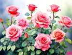 月季花为什么只长藤不开花