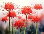 彼岸花一般在哪里生长
