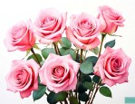 9朵粉玫瑰花价位是多少