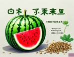 2025年西瓜种子哪里来的