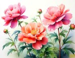 描写花开放时的情景的句子