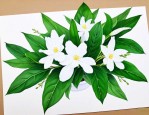 白花蛇舌草能天天喝吗