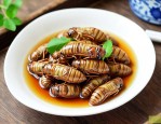 金蝉花和什么泡酒最好
