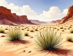 2025年沙漠里的一种植物