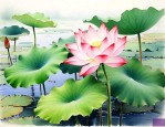 种荷花是用藕还是种子