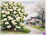 2025年琼花露产于何地.