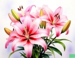 百合花花语代表什么花语