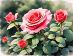2025年月季花是几点开的