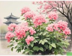 2025年扬州三月开什么花