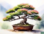 贵州有哪些盆景树品种