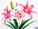 茹志鹃的百合花的主题