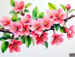 海棠花是什么季节的花