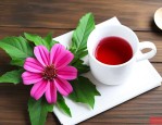 三七花能每天泡水喝吗