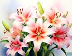 百合花的意思代表什么