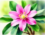 开心果的花是什么样子