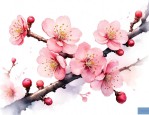 梅花的三个特点