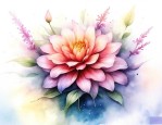 花朵的香味是从花的什么地方散发出来的