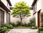 2025年庭院门口种什么树