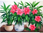 花卉富贵竹的养殖方法