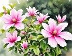 2025年多花木兰种植技术