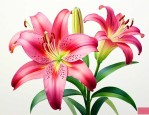 长的像百合花叫什么花