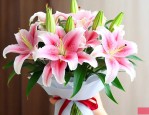 过生日百合花送几朵好