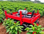 2025年辣椒栽植机多少钱